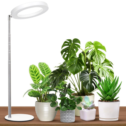 GTRUIIDY Desktop Grow Light overview shows full spectrum illumination for indoor plants