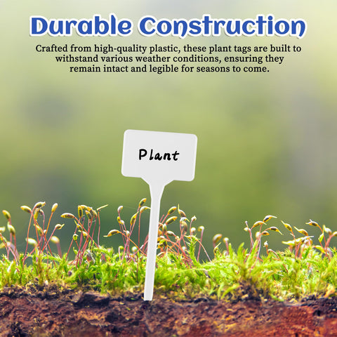 Gtziqa plastic plant stakes for nursery use easy soil insertion
