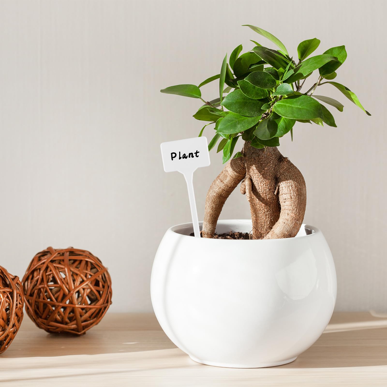 Gtziqa labels for vegetables fruits and flowers