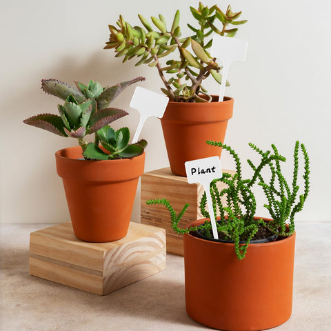 Gtziqa white garden markers for indoor and outdoor use