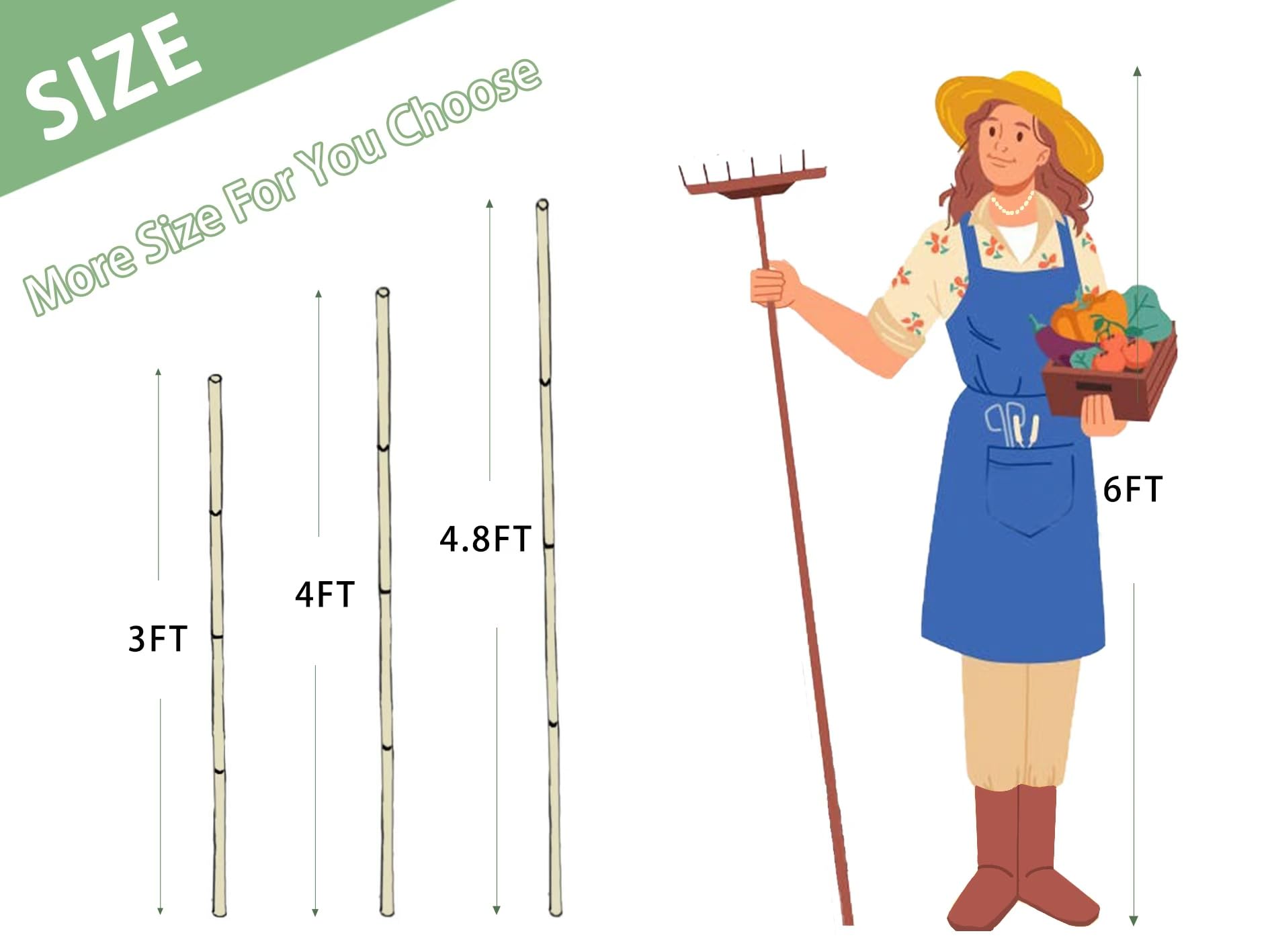 Guangye bamboo stakes 50pcs designed for organized, vertical growth in vegetable beds and containers