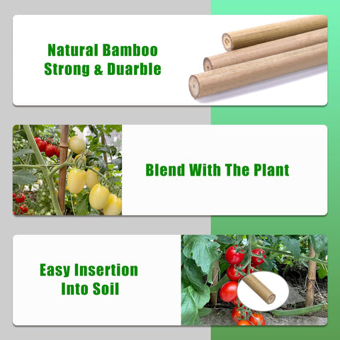 Guangye easy-assemble bamboo stakes simplify garden setup and plant training