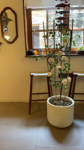 GUANGYE bamboo joints reveal durability and a neat garden look.