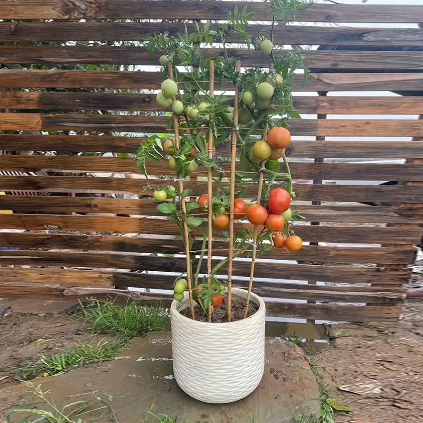 GUANGYE indoor outdoor trellis setup for pots and balconies