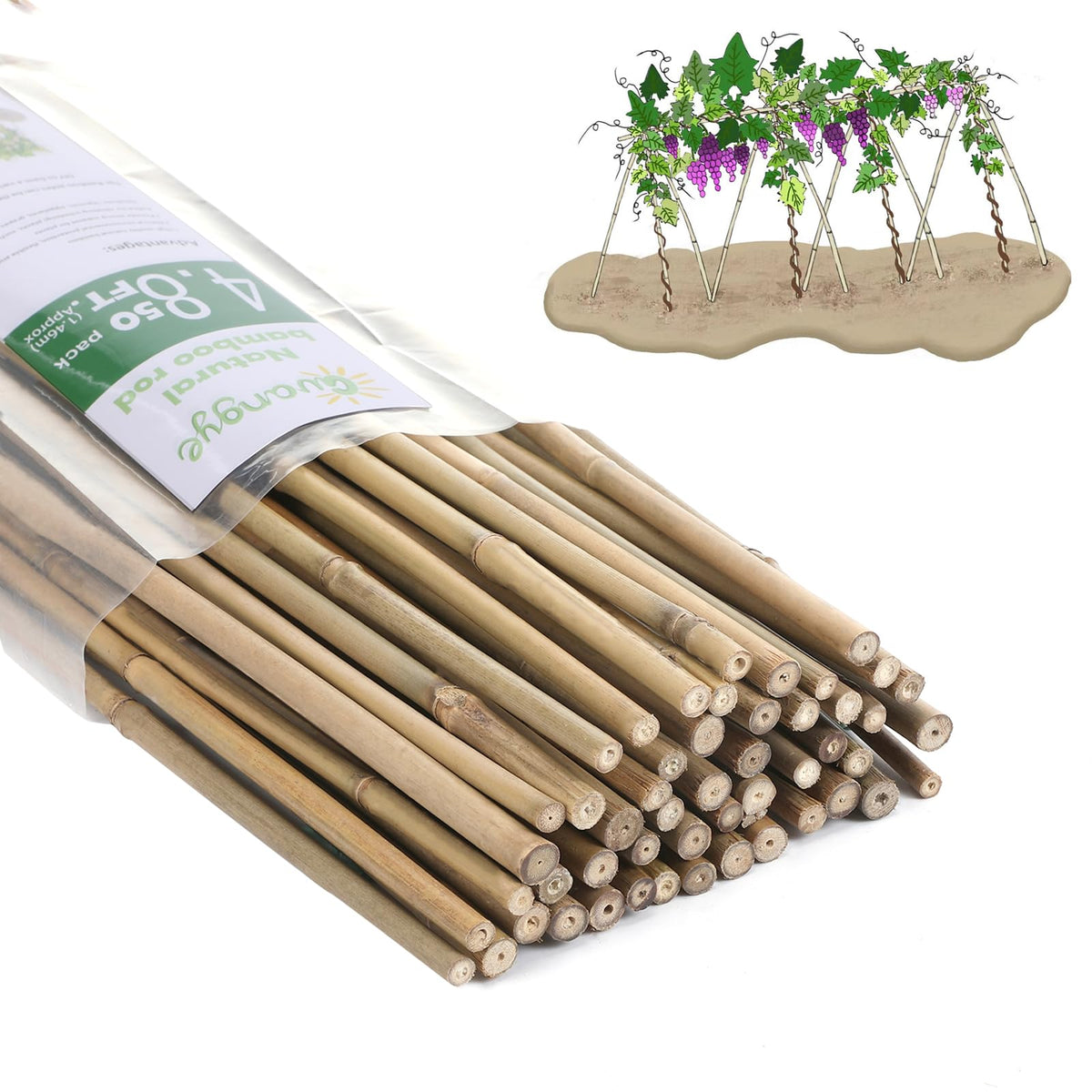 Guangye Plant Bamboo Post 4-8 feet provides sturdy plant support for tall varieties