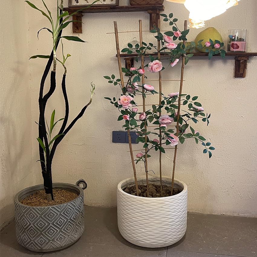 GUANGYE tomato climber supported by bamboo trellis