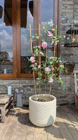 GUANGYE three-pack display suggests value and convenient gardening options.