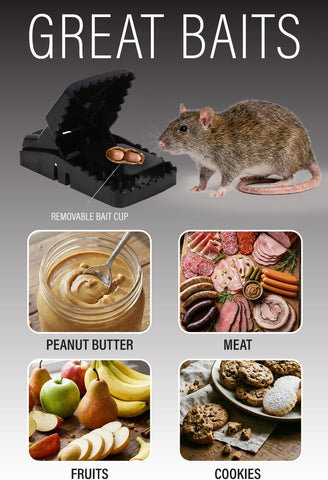 Guarden Rat Traps Indoor-sanitary-disposal-after-capture; no direct touching.
