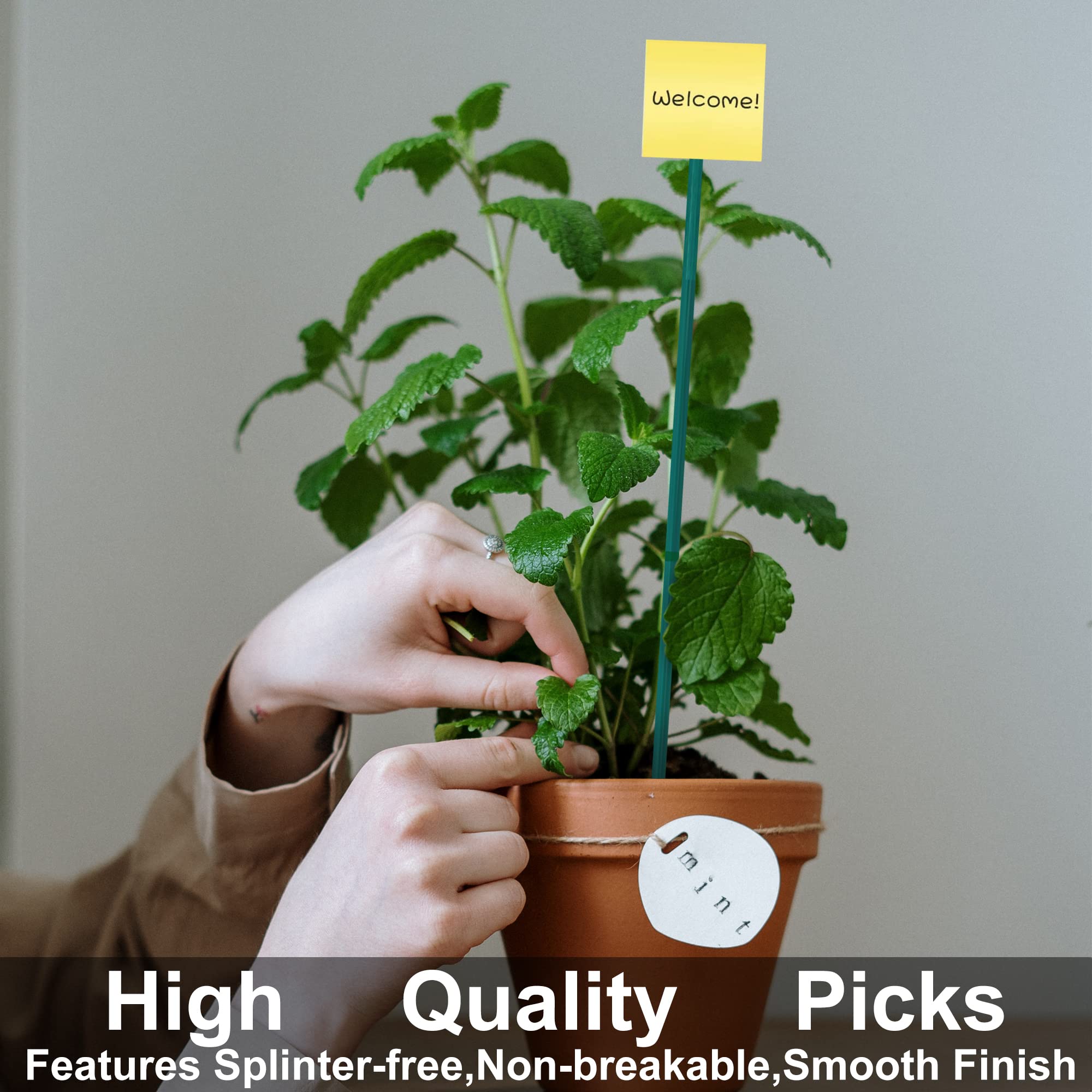 Guatbsecure multi-scenario use supports gardening, crafts, and displays.