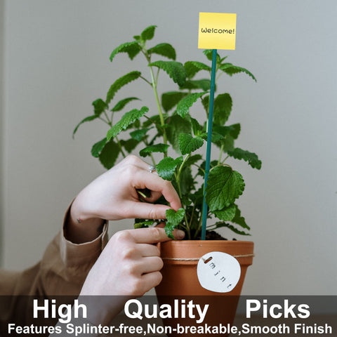 Guatbsecure multi-scenario use supports gardening, crafts, and displays.