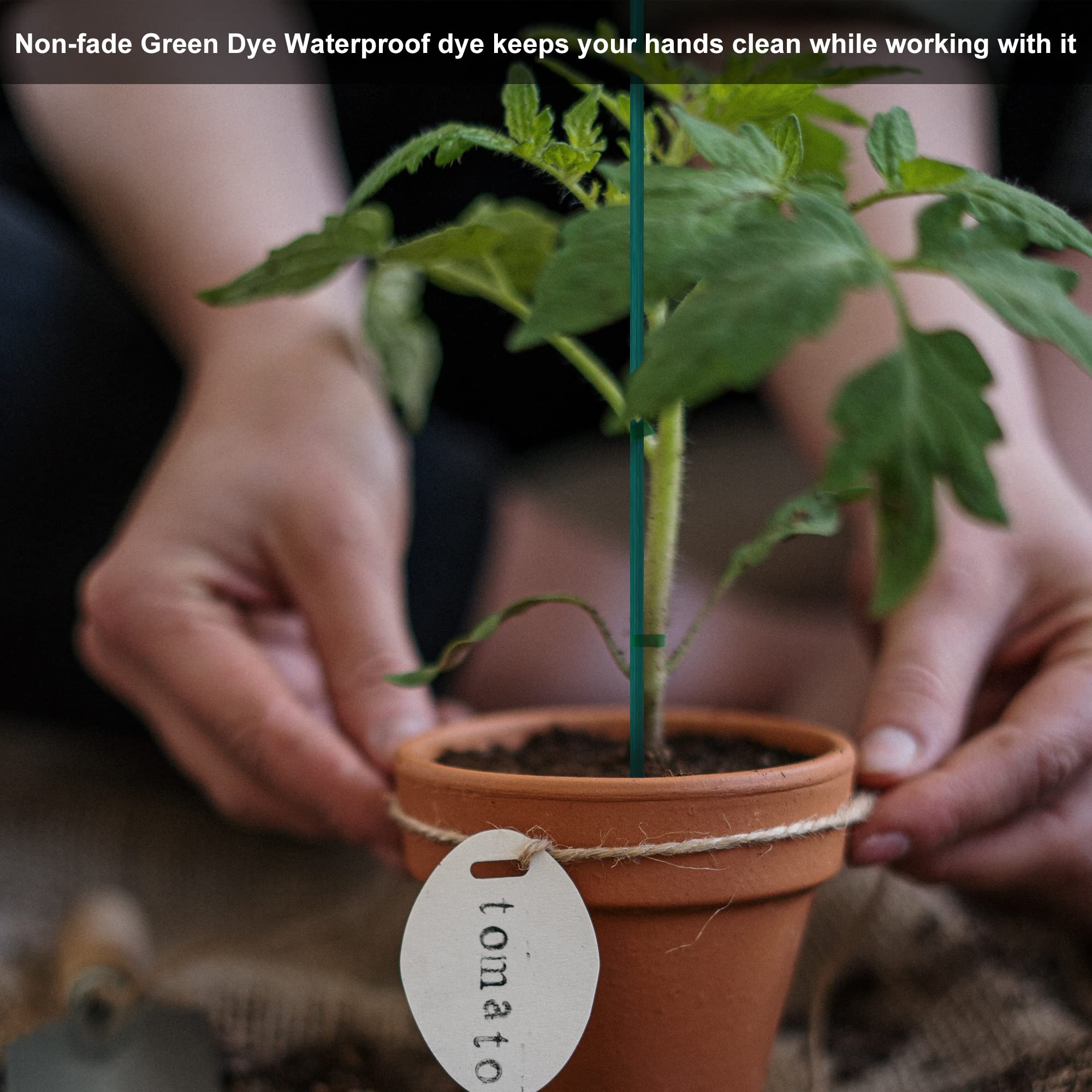 Guatbsecure plant-stem support helps upright growth and spacing.