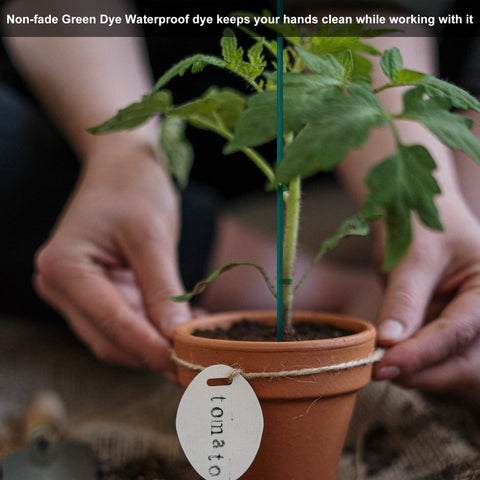 Guatbsecure plant-stem support helps upright growth and spacing.