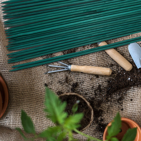 Guatbsecure potted-plants stake kit for indoor and balcony gardens.
