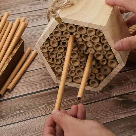 Gueevin 6-inch nesting tubes arranged for hive expansion.