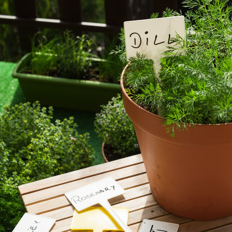 GUFJUCH easy-write surface for quick, clear plant identification.
