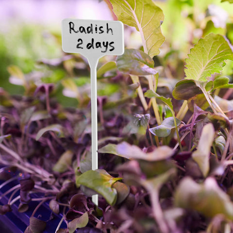 GUFJUCH weather-resistant plant tags endure rain and sun in outdoor beds.