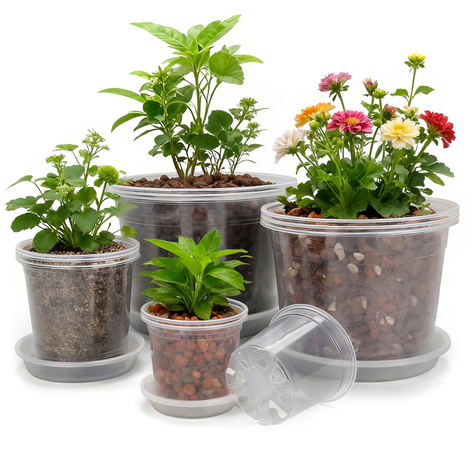 GUGEMEI clear nursery pot 4-inch with tray, ideal for seedling growth and drainage