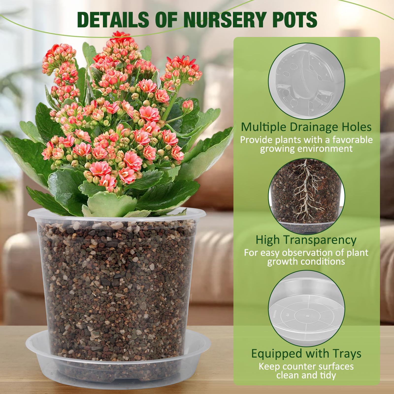 GUGEMEI clear nursery pot 8-inch with tray for versatile indoor outdoor use