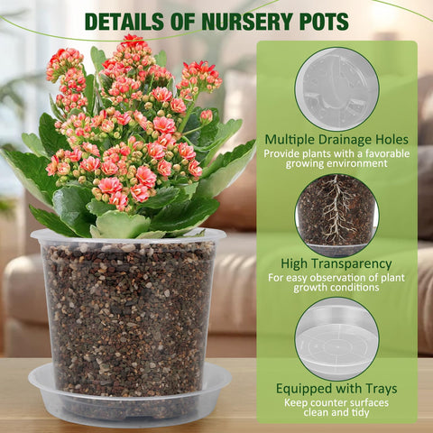 GUGEMEI clear nursery pot 8-inch with tray for versatile indoor outdoor use