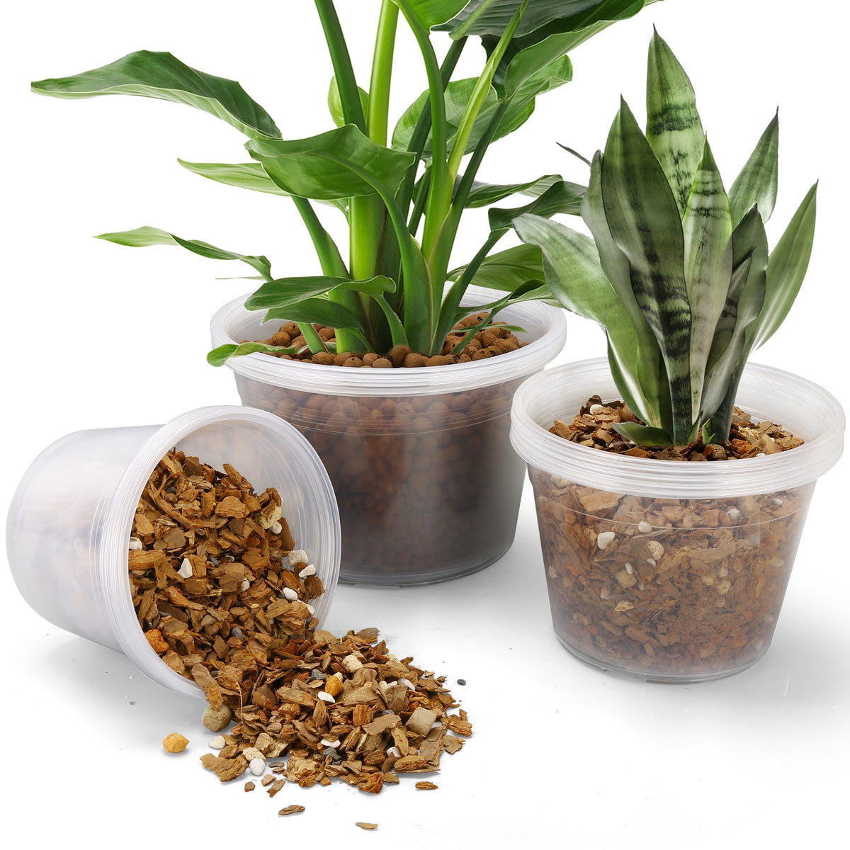 GUGEMEI clear 8inch nursery pot ideal for easy root and moisture monitoring