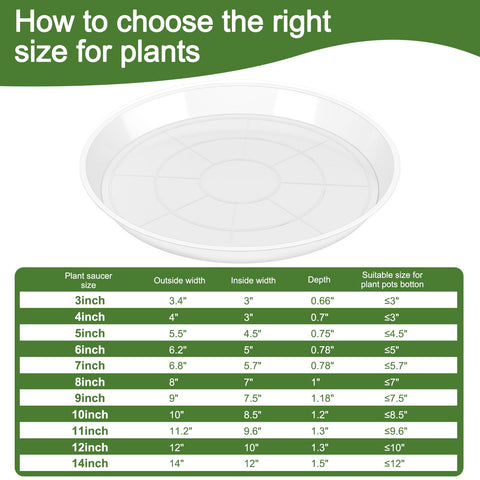 GUGEMEI 5-inch clear saucer showing top and bottom fit for compact planters.