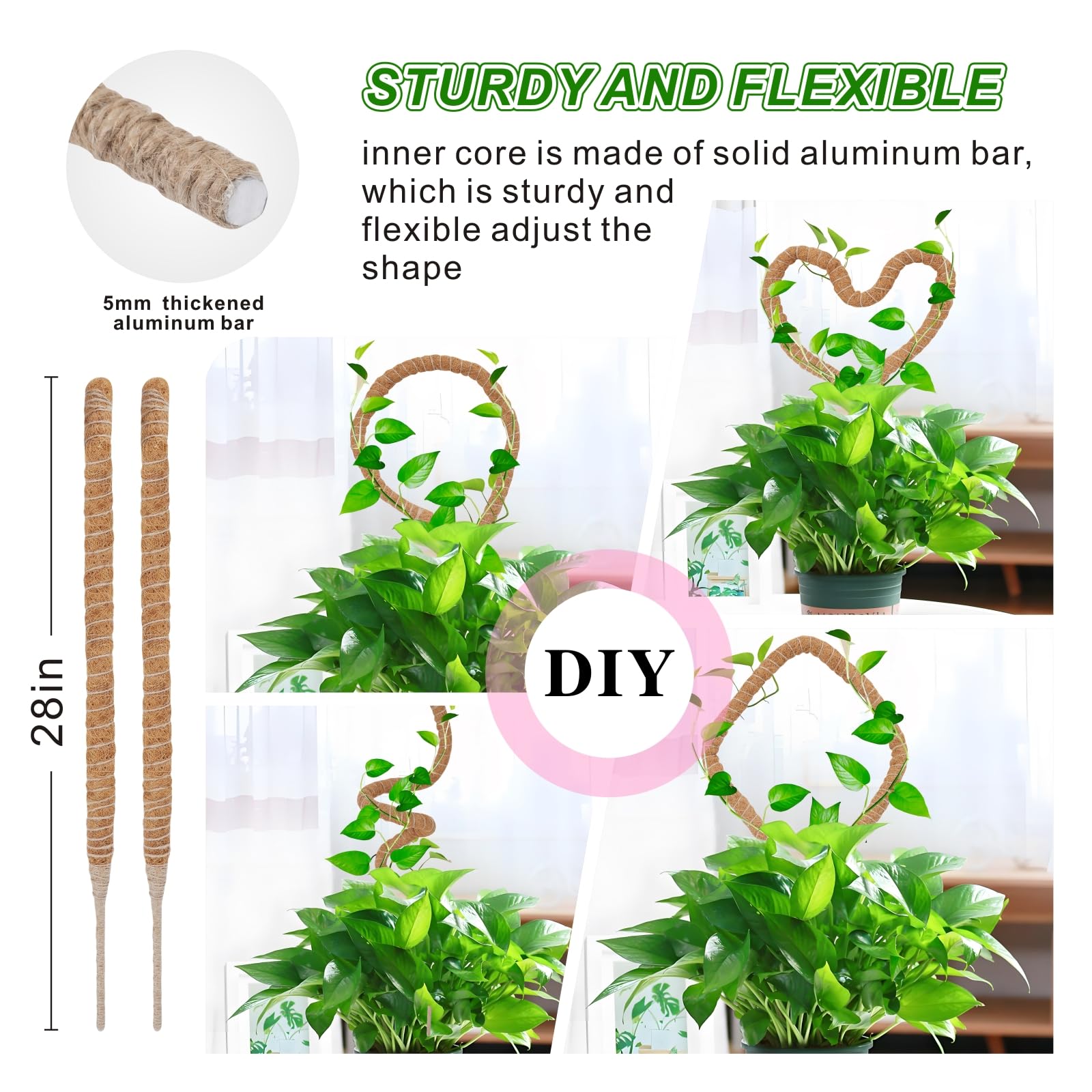 GUIDOT 28-inch plant support stake stabilizes tall indoor climbers.