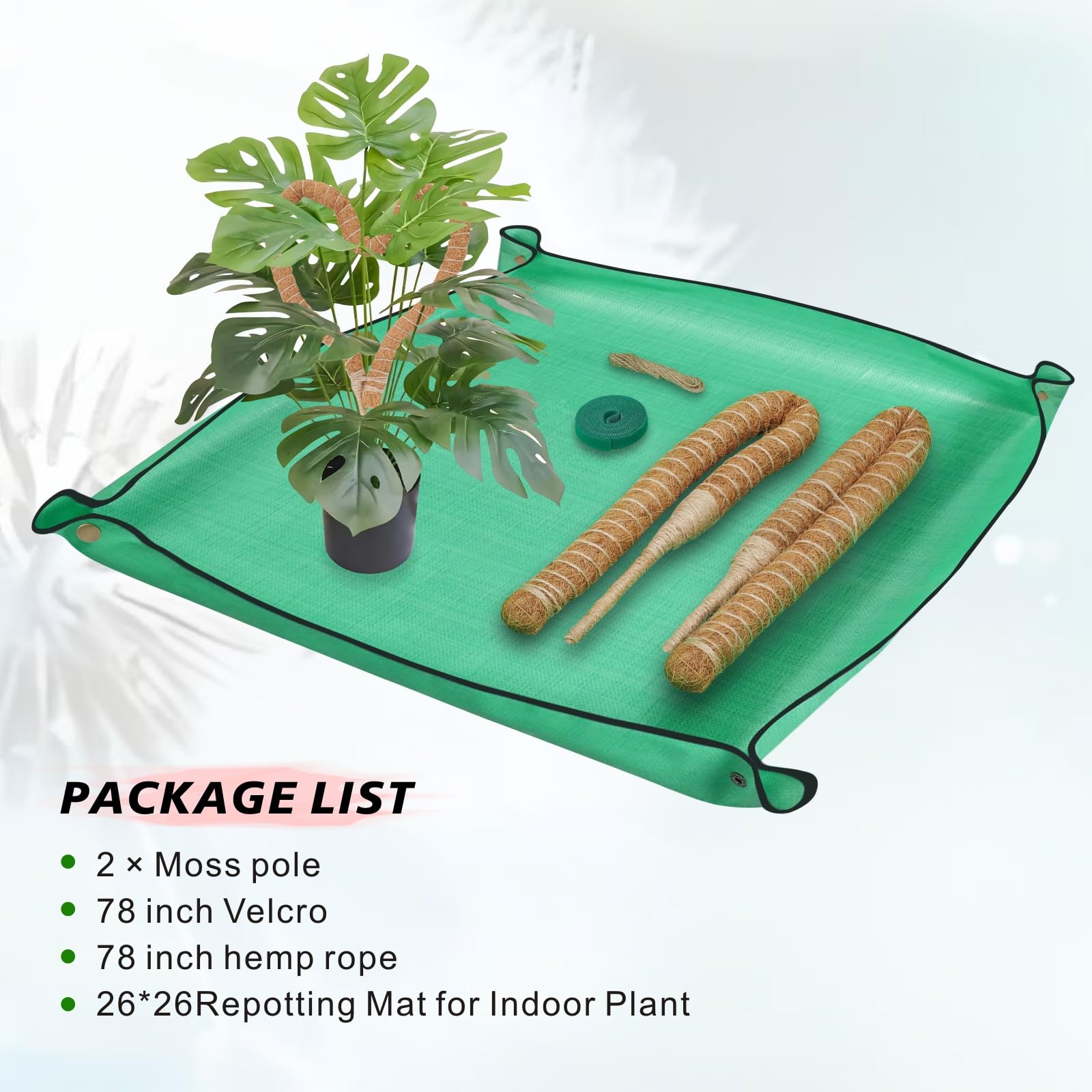 GUIDOT indoor climbing plant support keeps vines upright and neat.