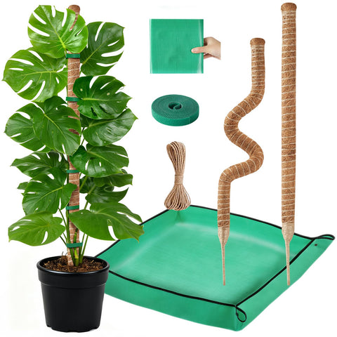 GUIDOT moss pole supports monstera for steady upward growth and moisture balance.