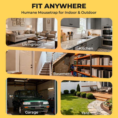 Guistekno indoor-outdoor setup fits kitchens, sheds, and garages.