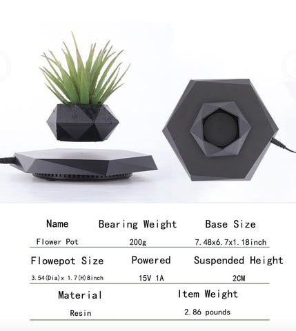 GUIYING floating planter on desk creates a futuristic, eye-catching decor focal point.