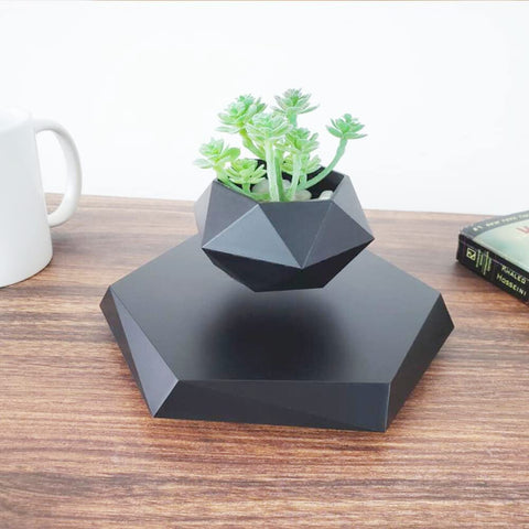 GUIYING levitating flower pot holder supports a small plant with balanced sunlight exposure.