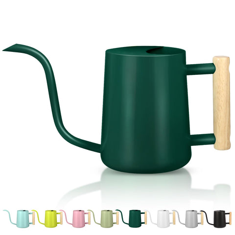 GUKJOB Alpinegreen watering can with long spout for precise indoor watering
