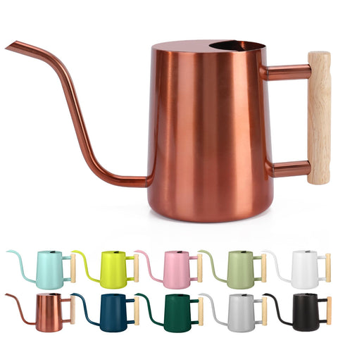 GUKJOB Watering Can for indoor plants with 35oz capacity, precise watering