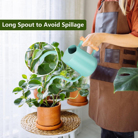 GUKJOB watering can long spout enables precise reach for indoor plants