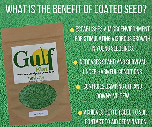 Close-up of Gulf Kist Centipede Seed coating highlighting germination support
