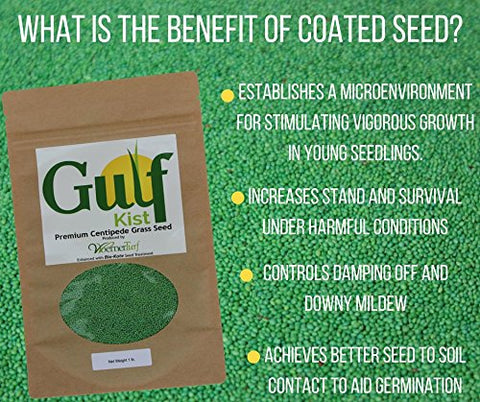 Close-up of Gulf Kist Centipede Seed coating highlighting germination support