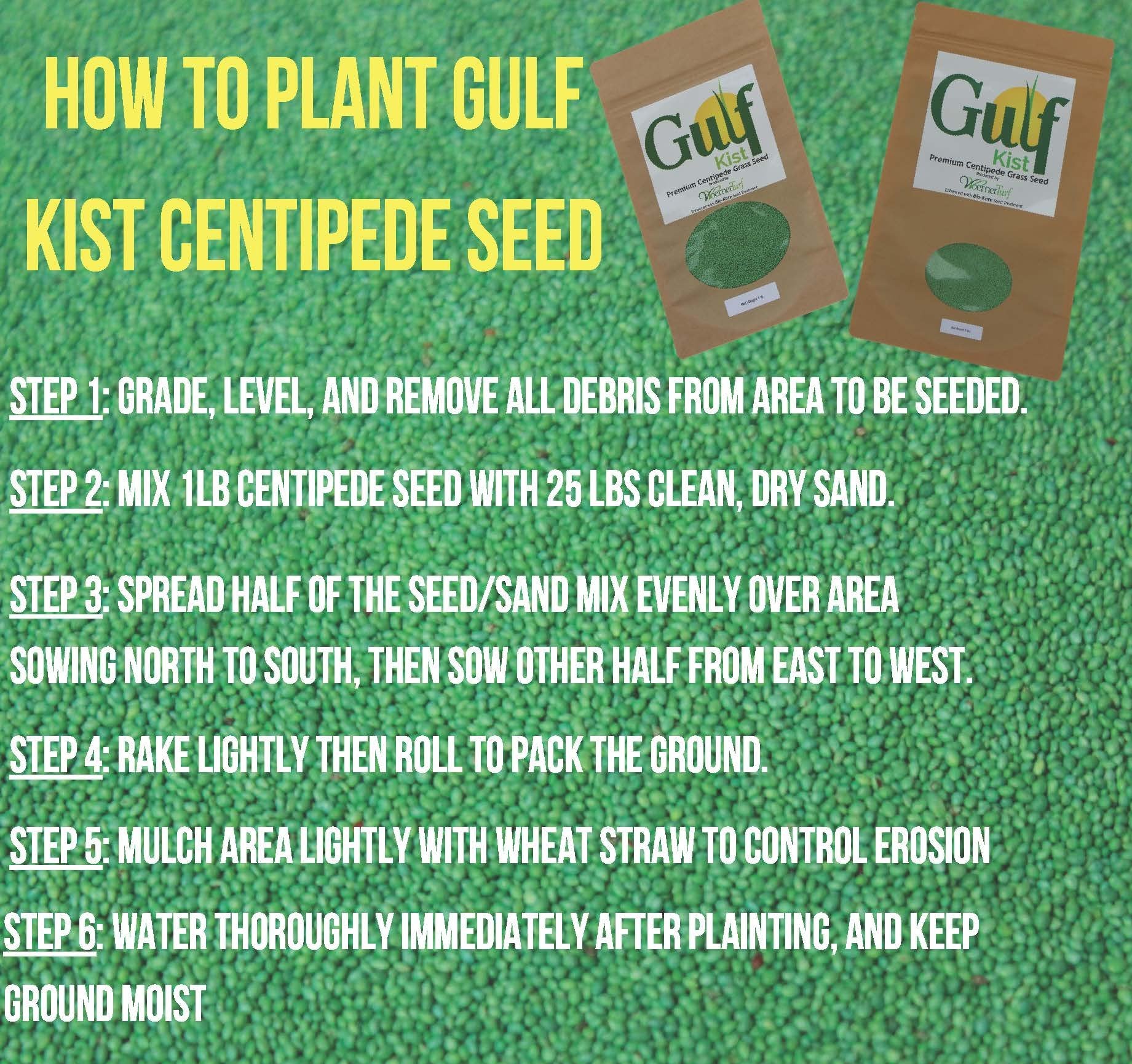 Gulf Kist Centipede Seed mixed with sand for even distribution