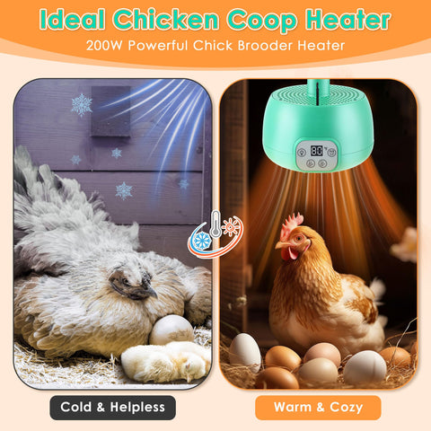 Gulfmew brooder lamp with LED display enables precise temperature control
