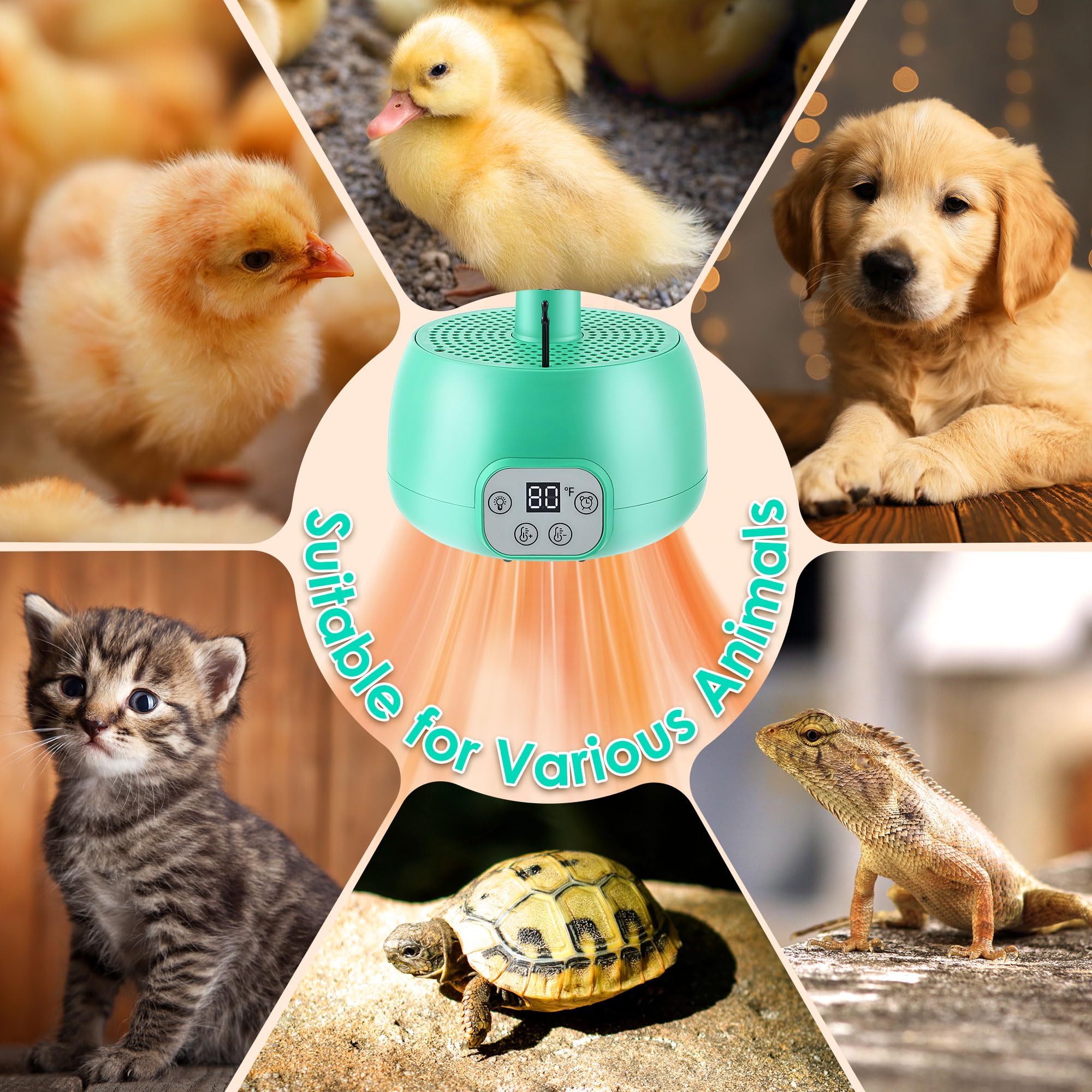 Gulfmew heater provides wide-angle warm air for chicks