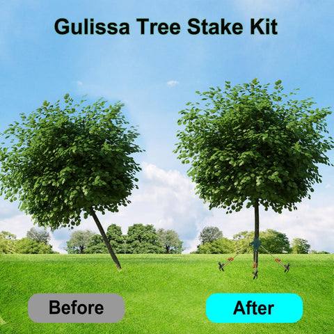 Gulissa Tree Stake Kit tree straps secure stakes for steady support.