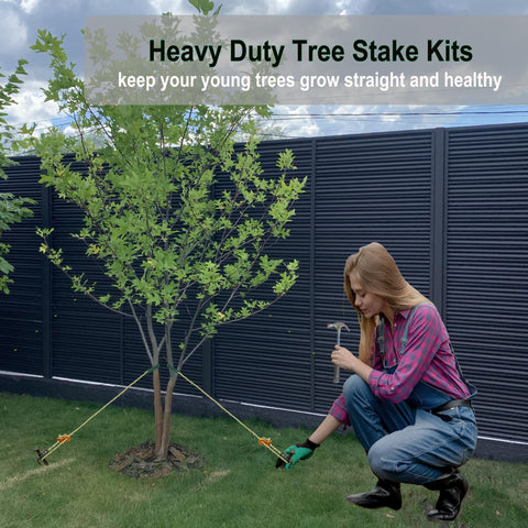 Gulissa Tree Stake Kit wind protection for saplings in harsh weather.