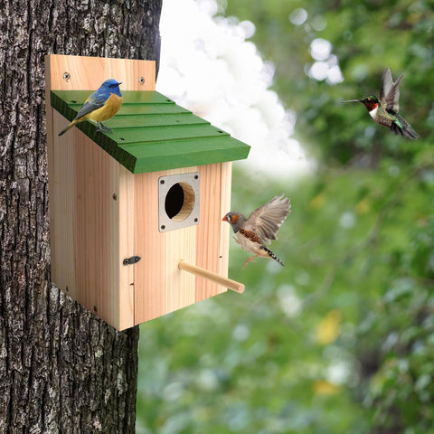 Gute bird house versatile mounting on pole, tree, wall, or fence.