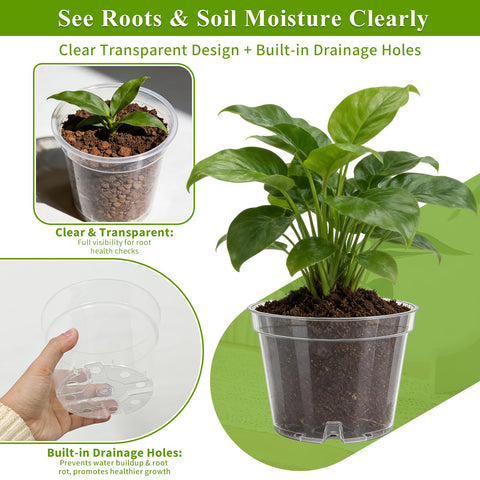 Gute clear 10 inch nursery pot ideal for larger seedlings and transplants