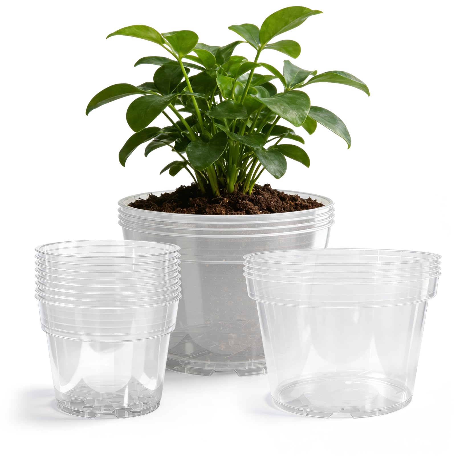 Gute clear 6 inch nursery pot with transparent walls for easy root monitoring
