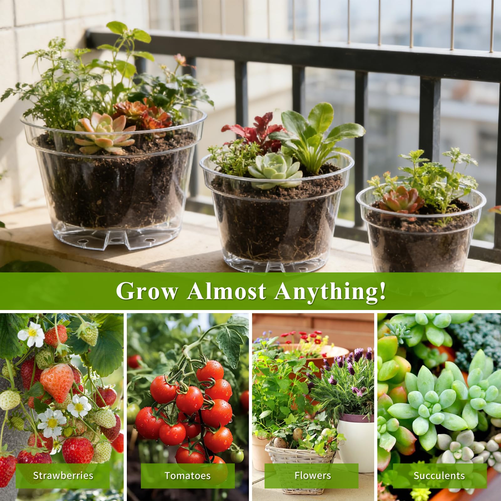 Gute transparent root check pot helps moisture assessment for seedlings