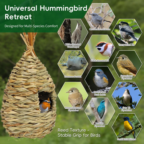 Gute weather-durable outdoor bird house withstands wind and rain