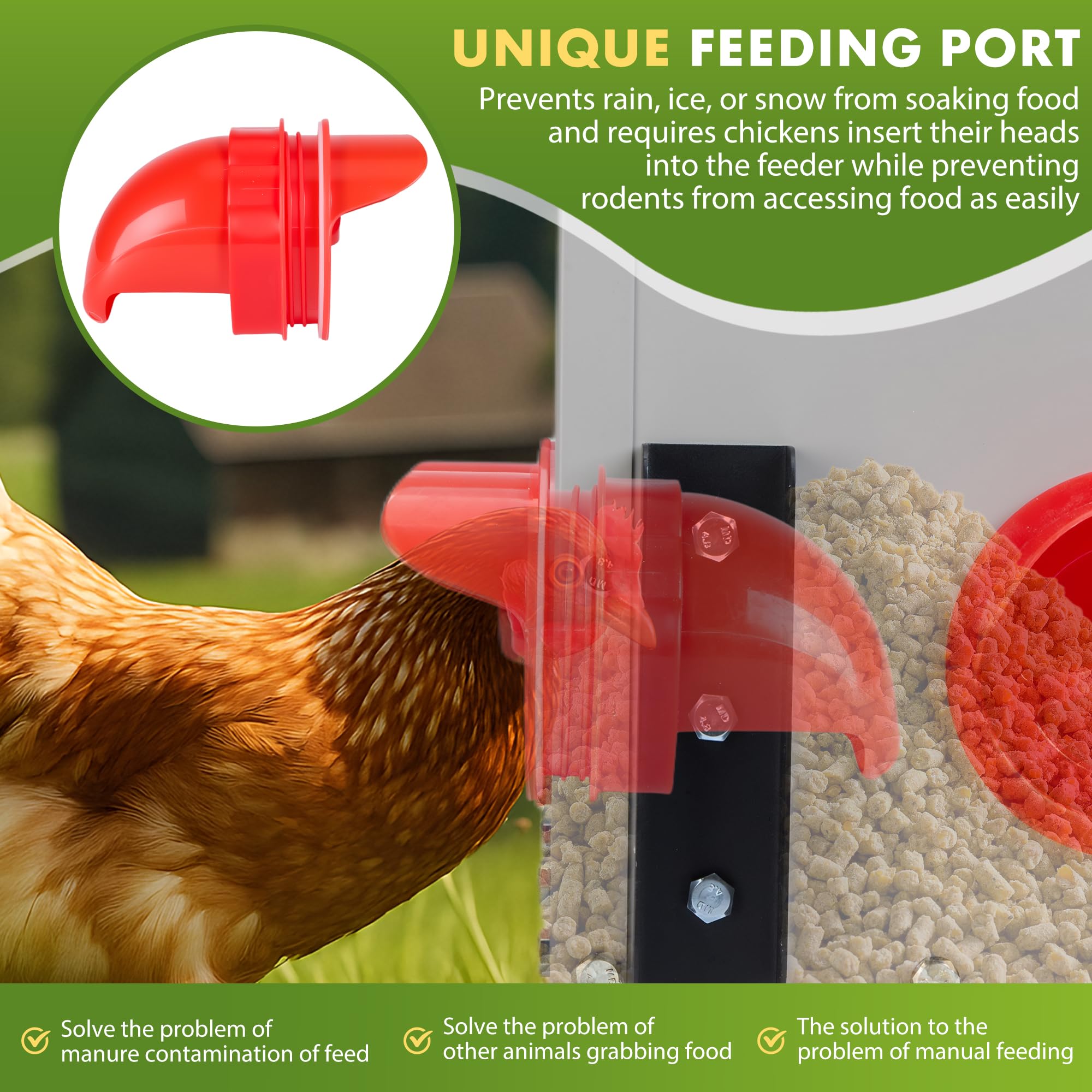 GVGBUK height-adjustable settings suit diverse chicken breeds.