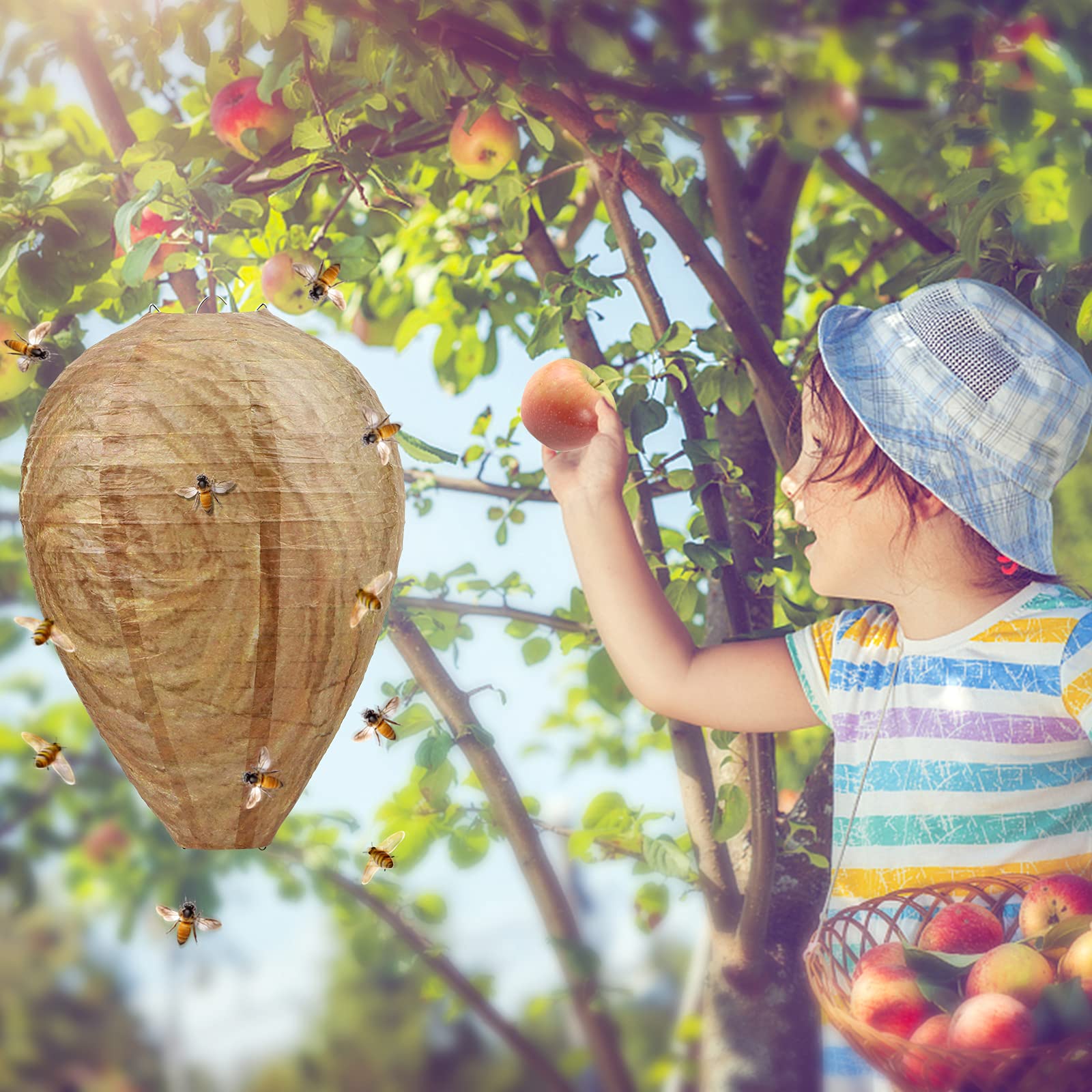 GWHOLE early-spring hanging helps deter wasps before nesting begins.