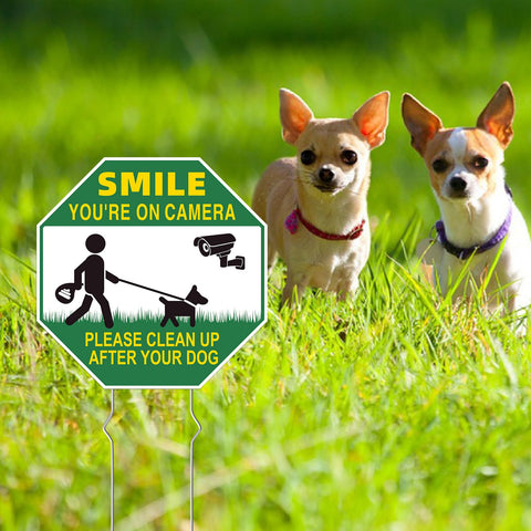 GXGGUS dog poop sign on-camera contrast for curbside awareness.