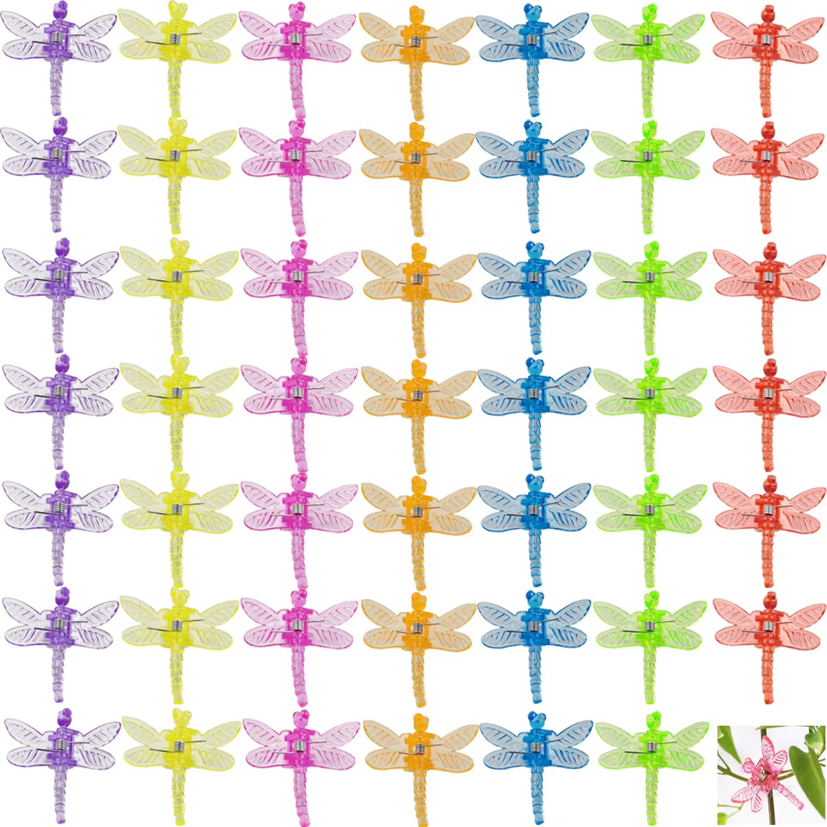GXXMEI dragonfly orchid clip close-up showing colorful, gentle spike support.